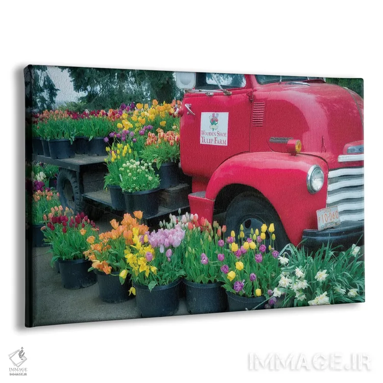 تابلو شکوفه کامیون (گلآرایی کامیون) اثر دنیس فراتس - نمای پرسپکتیو محصول