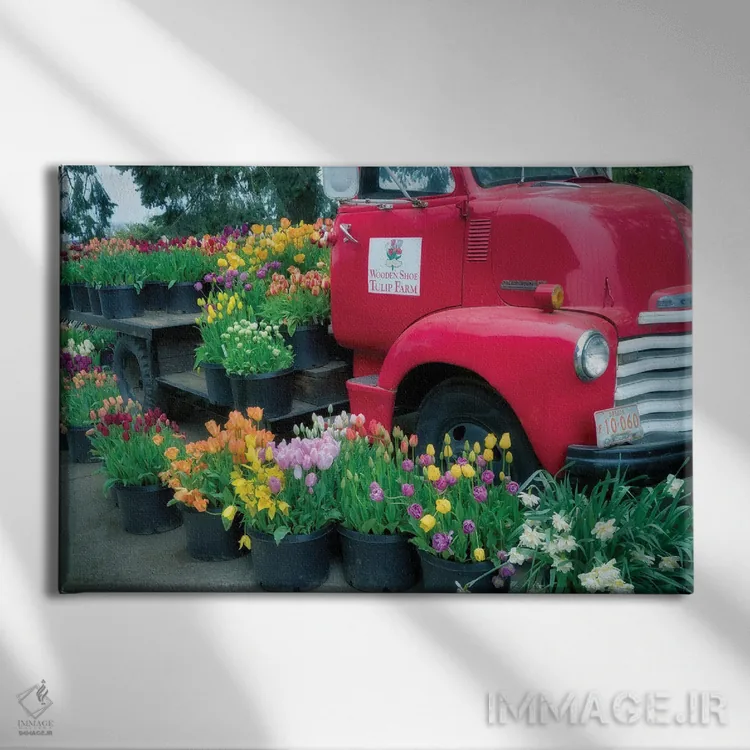 تابلو شکوفه کامیون (گلآرایی کامیون) اثر دنیس فراتس - نمای روبهرو روی دیوار