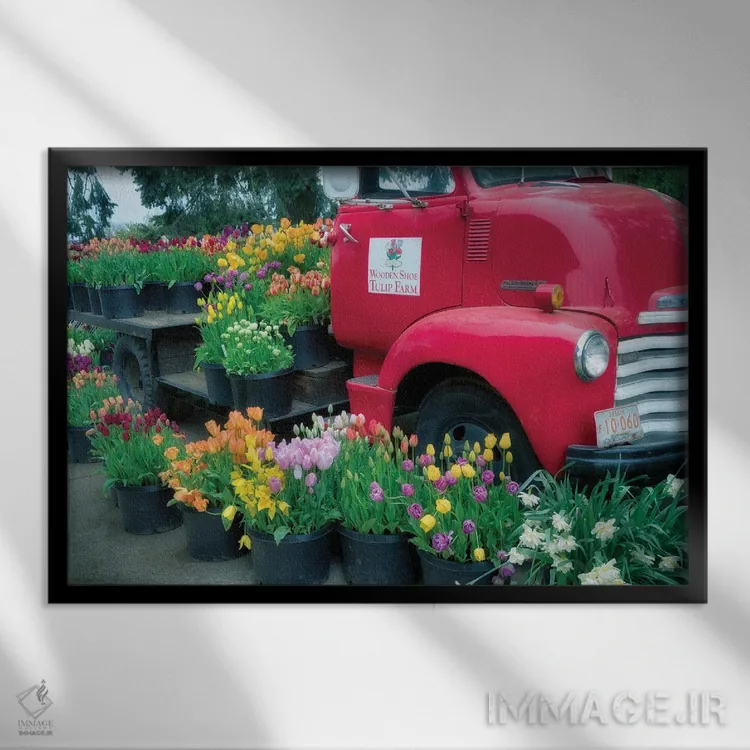 تابلو شکوفه کامیون (گلآرایی کامیون) اثر دنیس فراتس - نمای قابدار مشکی