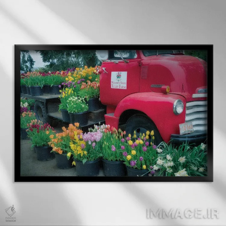 تابلو شکوفه کامیون (گلآرایی کامیون) اثر دنیس فراتس - نمای قابدار مشکی
