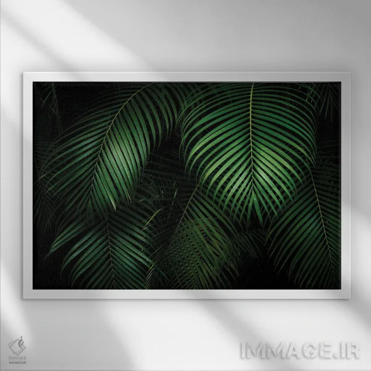 تابلو برگهای نخل اثر دنیس فراتس - نمای قابدار سفید