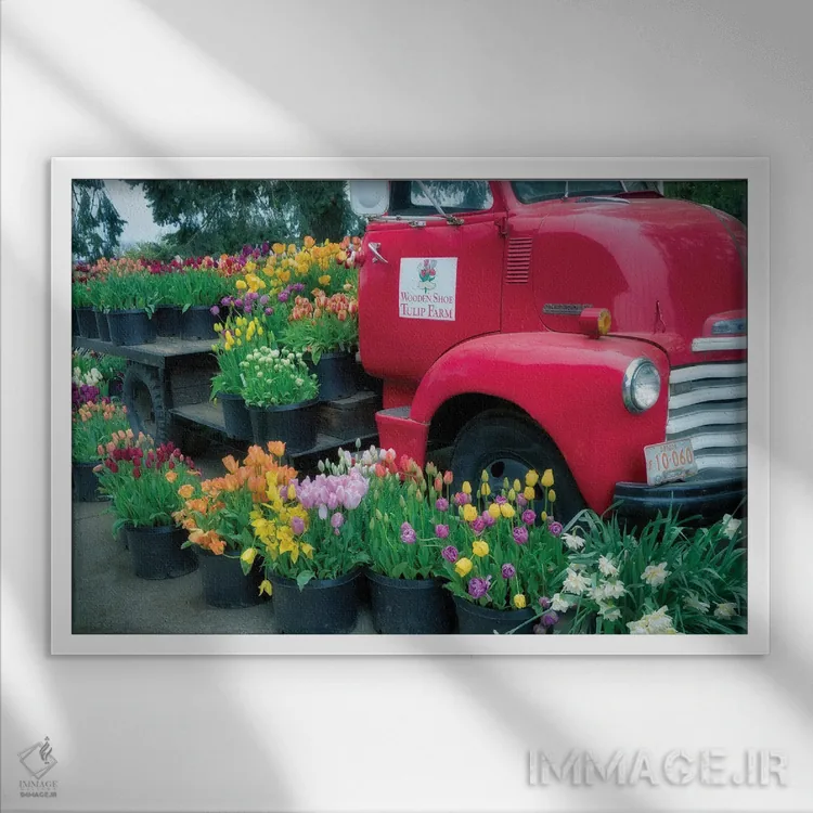 تابلو شکوفه کامیون (گلآرایی کامیون) اثر دنیس فراتس - نمای قابدار سفید