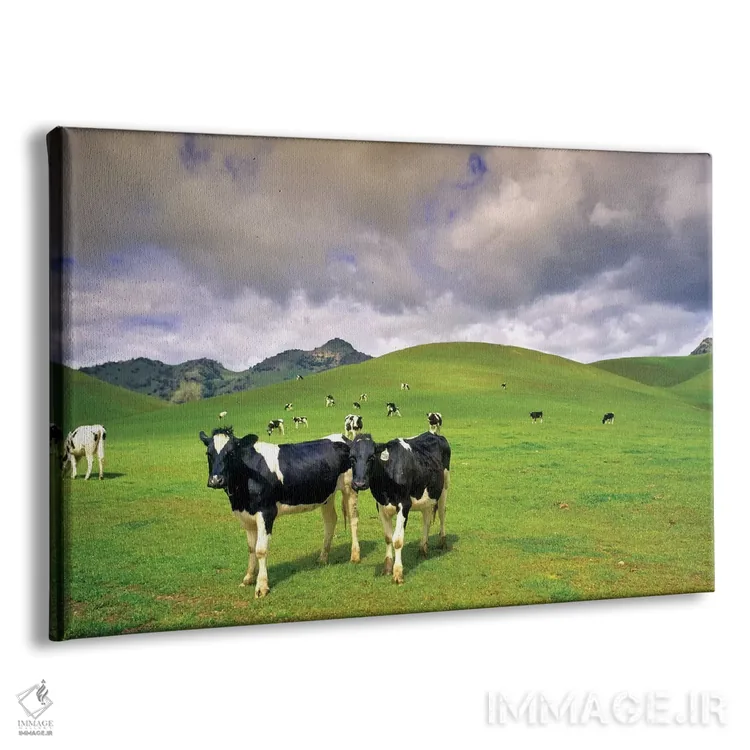 تابلو مرتع لبنی دو اثر دنیس فراتس - نمای پرسپکتیو محصول