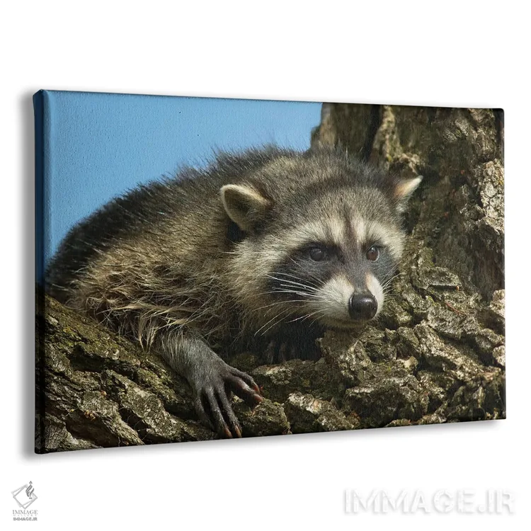 تابلو راکن اثر دنیس فراتس - نمای پرسپکتیو محصول