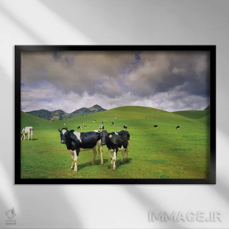 تابلو مرتع لبنی دو اثر دنیس فراتس - نمای قابدار مشکی