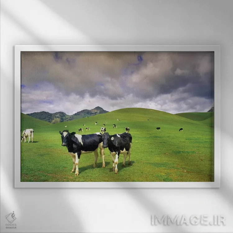 تابلو مرتع لبنی دو اثر دنیس فراتس - نمای قابدار سفید