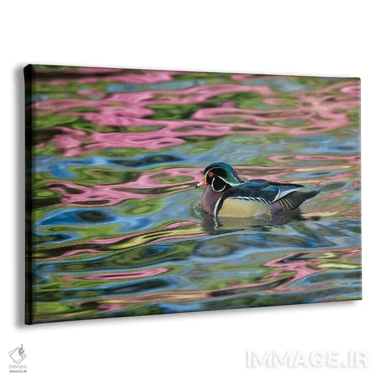 تابلو انعکاس اردک چوبی اثر دنیس فراتس - نمای پرسپکتیو محصول