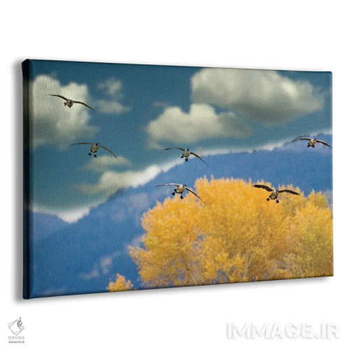 تابلو نشستن غازها اثر دنیس فراتس - نمای پرسپکتیو محصول