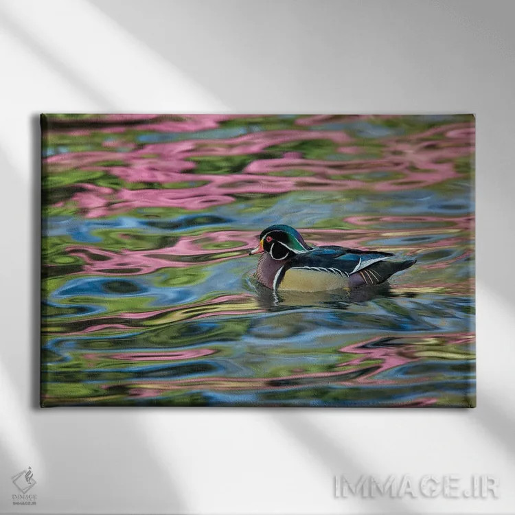 تابلو انعکاس اردک چوبی اثر دنیس فراتس - نمای روبهرو روی دیوار