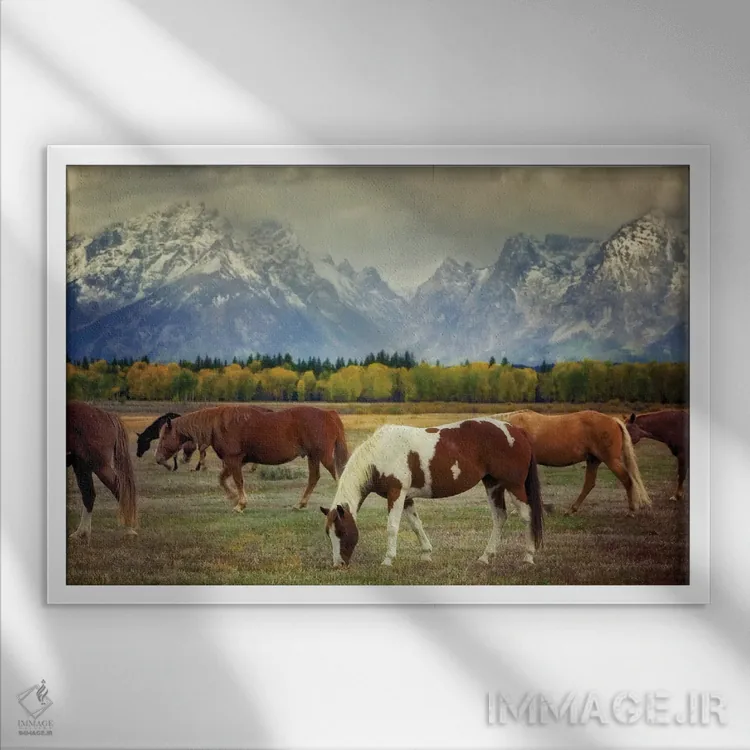 تابلو اسبهای تیتون اثر دنیس فراتس - نمای قابدار سفید