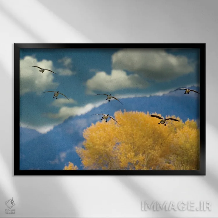 تابلو نشستن غازها اثر دنیس فراتس - نمای قابدار مشکی