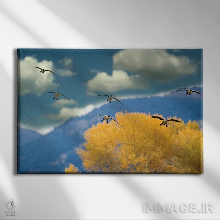 تابلو نشستن غازها اثر دنیس فراتس - نمای روبهرو روی دیوار