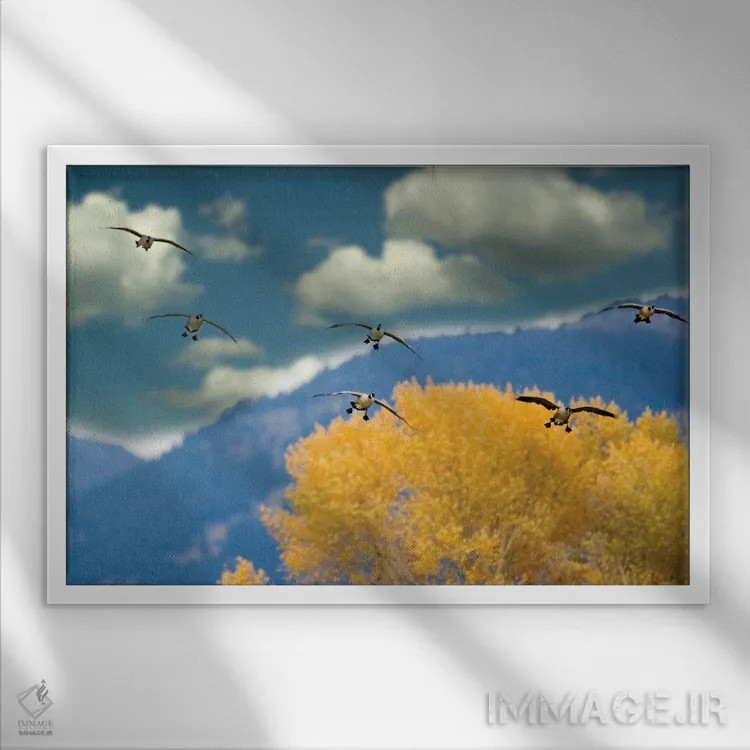 تابلو نشستن غازها اثر دنیس فراتس - نمای قابدار سفید