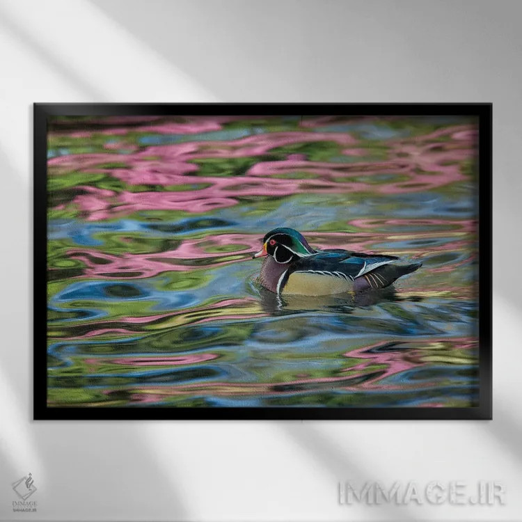 تابلو انعکاس اردک چوبی اثر دنیس فراتس - نمای قابدار مشکی