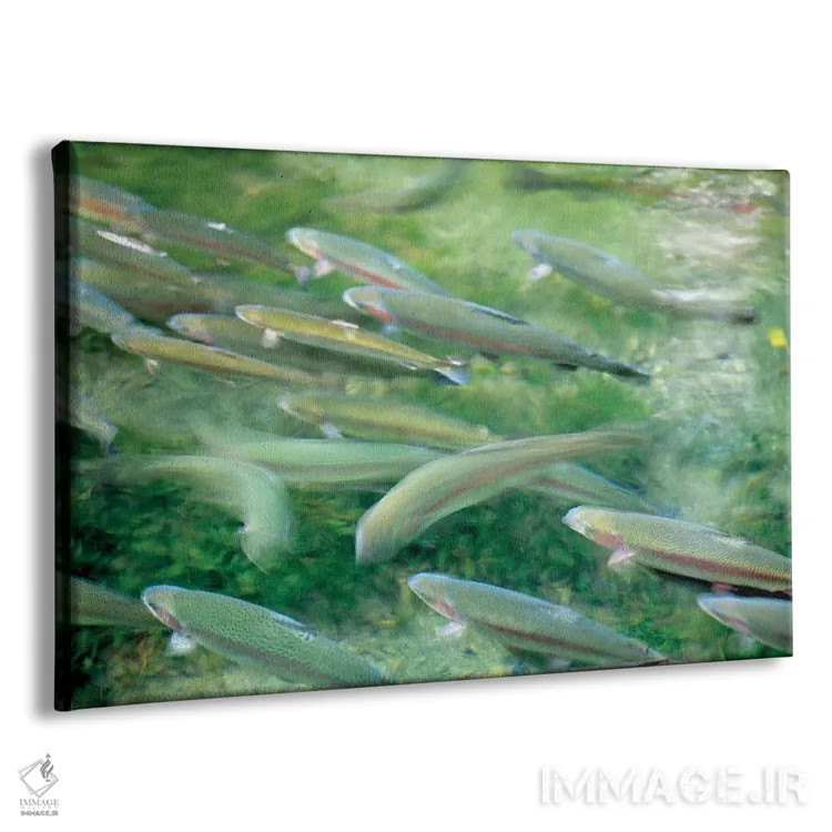 تابلو ماهی قزلآلا اثر دنیس فراتس - نمای پرسپکتیو محصول