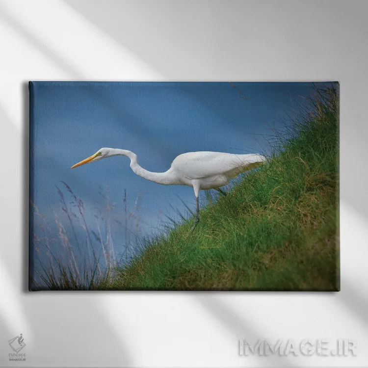 تابلو در جستجوی شکار اثر دنیس فراتس - نمای روبهرو روی دیوار