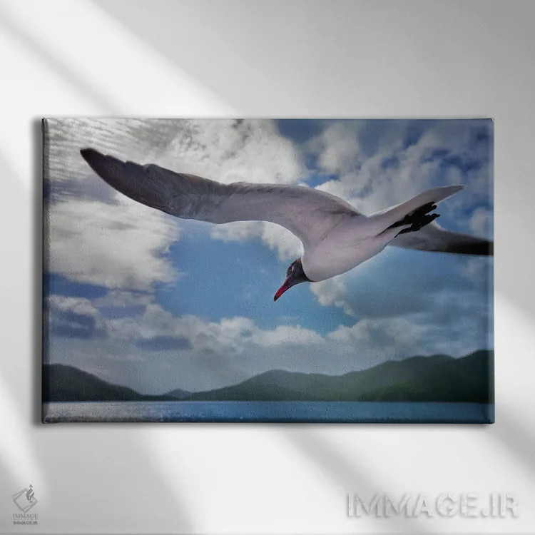 تابلو مرغ دریایی اثر دنیس فراتس - نمای روبهرو روی دیوار