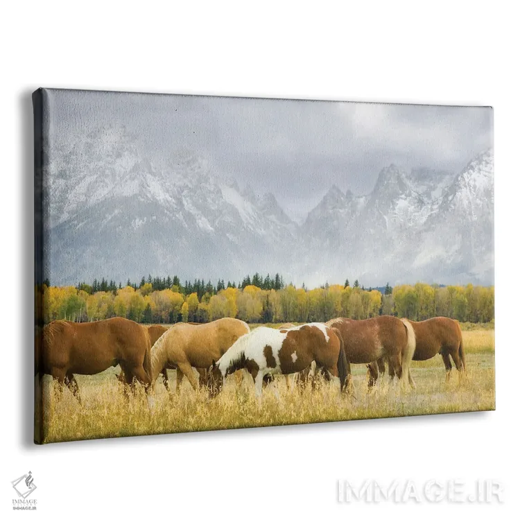 تابلو اسبها در تیتون اثر دنیس فراتس - نمای پرسپکتیو محصول