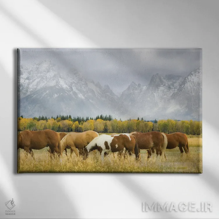 تابلو اسبها در تیتون اثر دنیس فراتس - نمای روبهرو روی دیوار