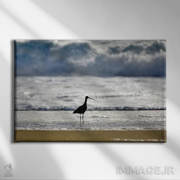 تابلو پرنده ساحلی اثر دنیس فراتس - نمای روبهرو روی دیوار