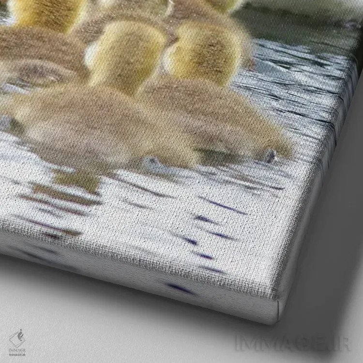 تابلو خانواده غازها اثر دنیس فراتس - نمای نزدیک بافت بوم