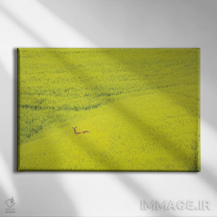 تابلو گوزن تنها اثر دنیس فراتس - نمای روبهرو روی دیوار