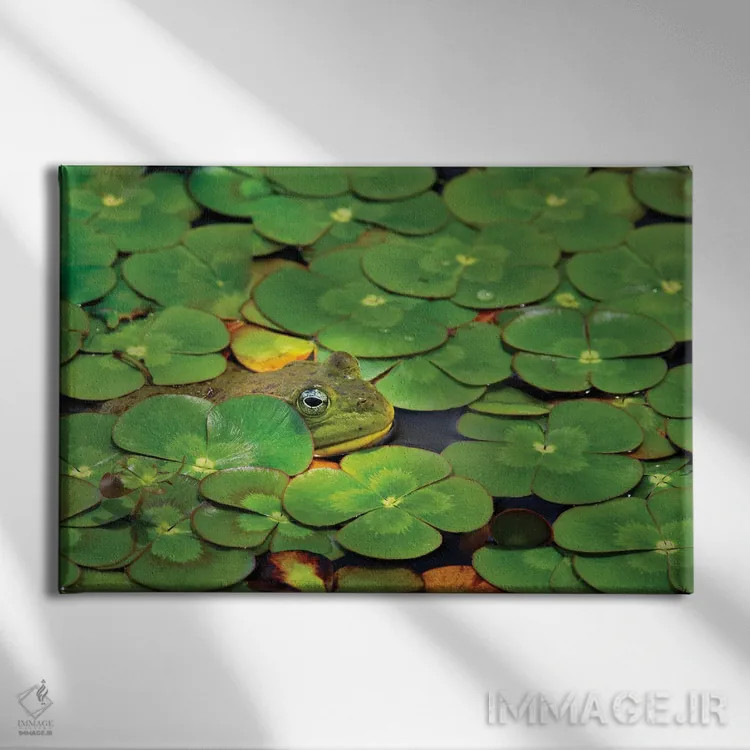 تابلو برکه قورباغهها اثر دنیس فراتس - نمای روبهرو روی دیوار