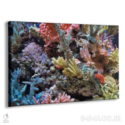 تابلو مرجان اثر دنیس فراتس - نمای پرسپکتیو محصول