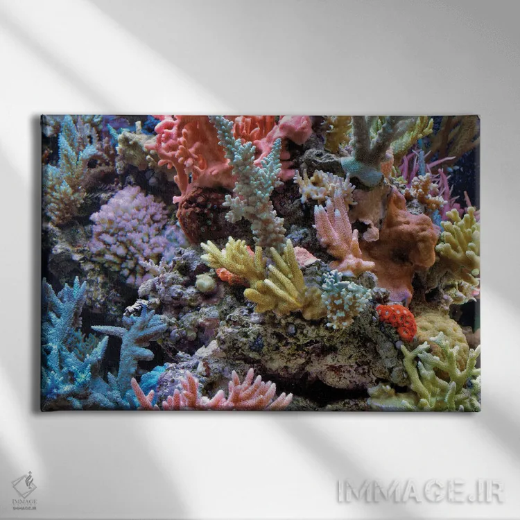 تابلو مرجان اثر دنیس فراتس - نمای روبهرو روی دیوار