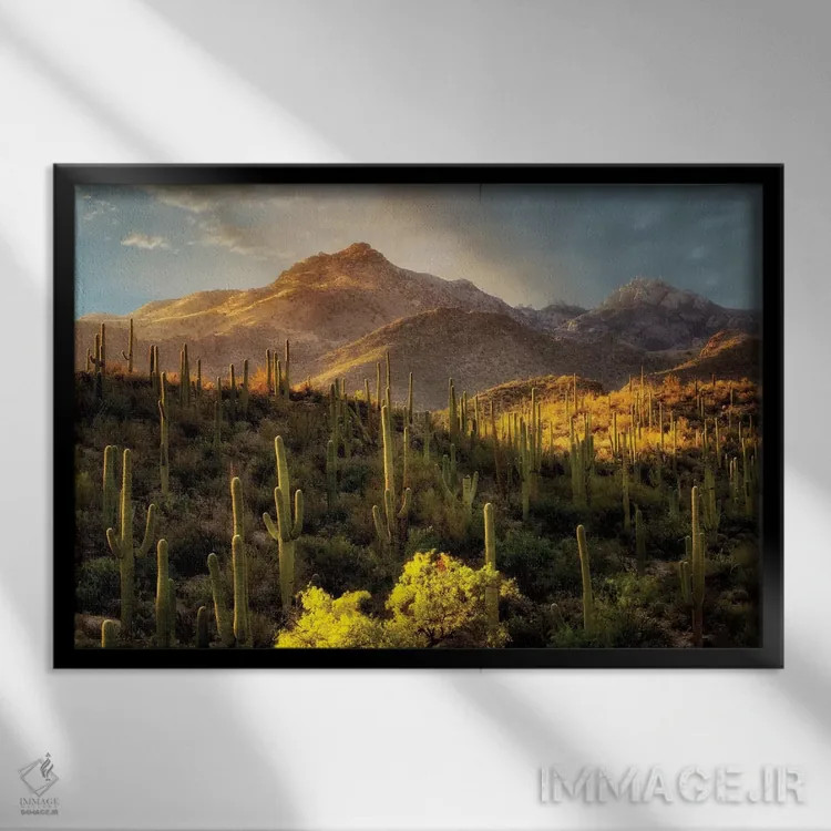 تابلو زیبایی بیابان اثر دنیس فراتس - نمای قابدار مشکی
