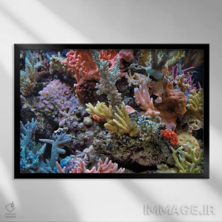 تابلو مرجان اثر دنیس فراتس - نمای قابدار مشکی