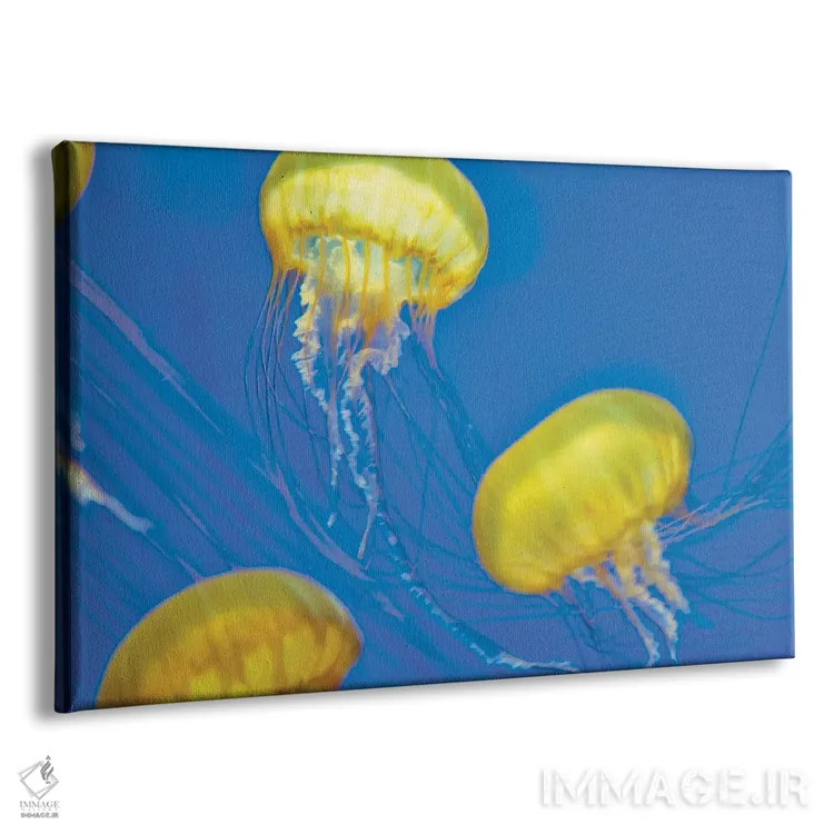 تابلو عروس دریایی اثر دنیس فراتس - نمای پرسپکتیو محصول