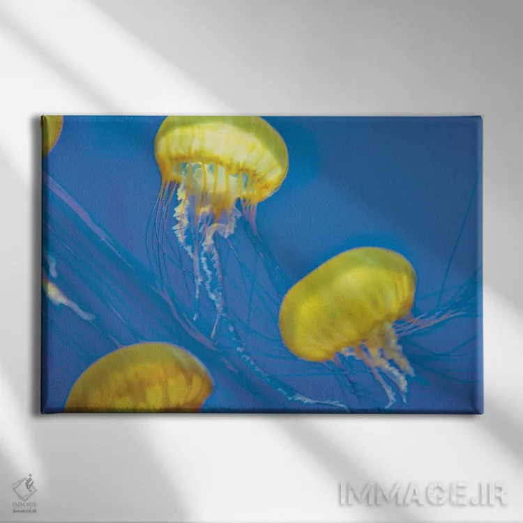 تابلو عروس دریایی اثر دنیس فراتس - نمای روبهرو روی دیوار