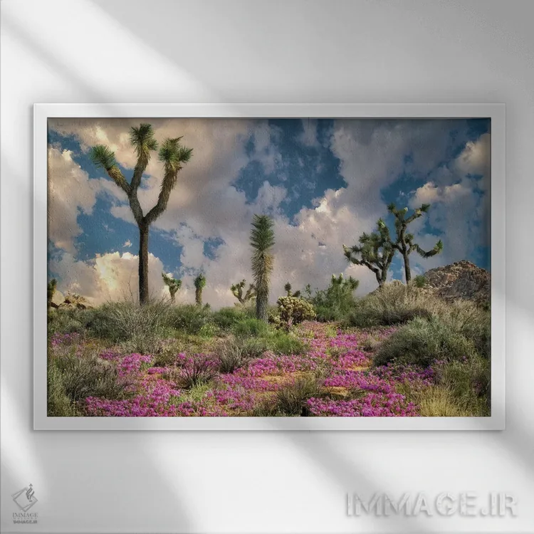 تابلو شکوفهدهی بیابان اثر دنیس فراتس - نمای قابدار سفید