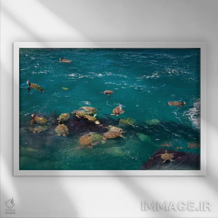 تابلو لاکپشتهای دریایی اثر دنیس فراتس - نمای قابدار سفید