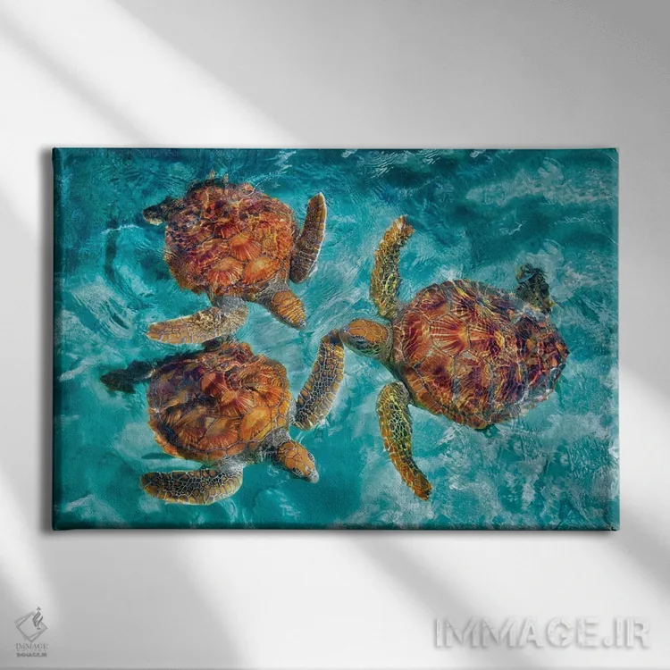 تابلو سه لاکپشت دریایی اثر دنیس فراتس - نمای روبهرو روی دیوار