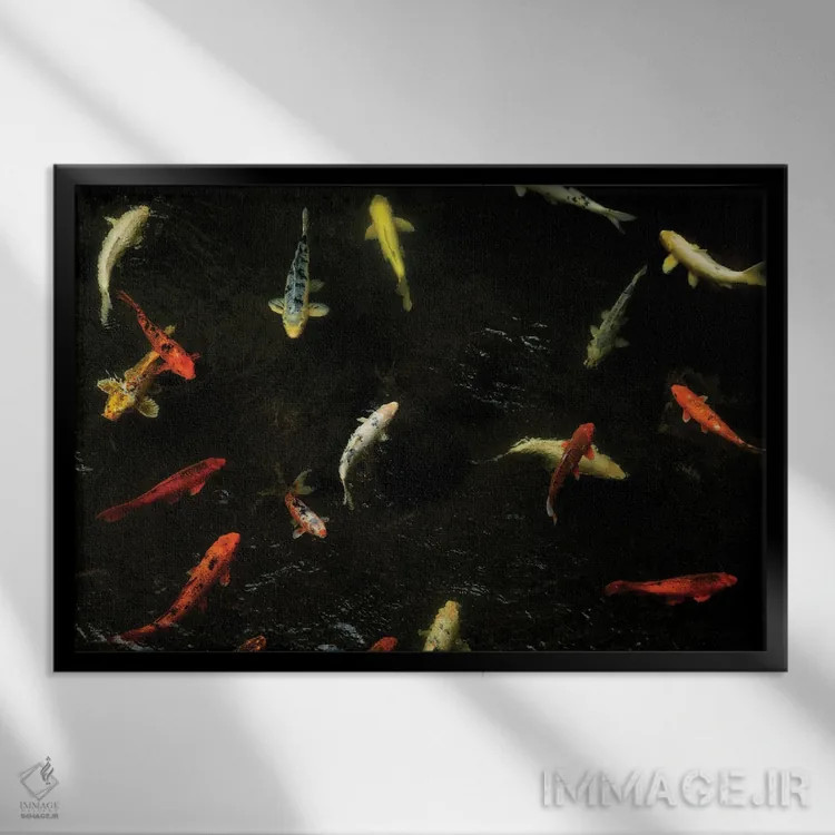 تابلو کوی از بالا (ماهی) اثر دنیس فراتس - نمای قابدار مشکی