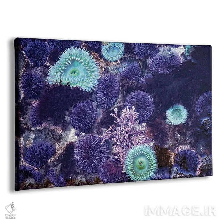 تابلو آبگیر جزر و مدی اثر دنیس فراتس - نمای پرسپکتیو محصول