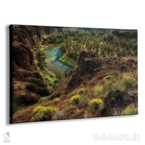 تابلو نهر دره بیابان اثر دنیس فراتس - نمای پرسپکتیو محصول