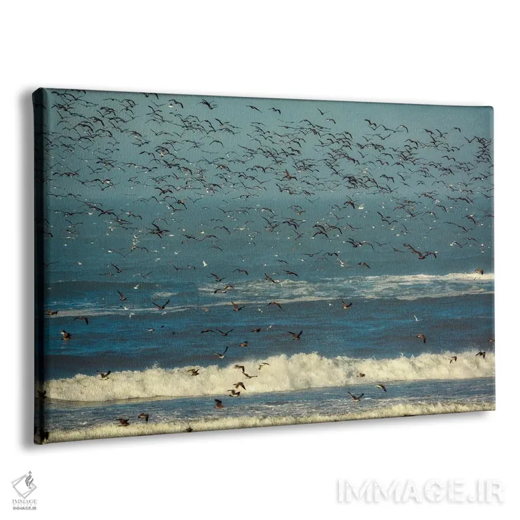 تابلو مرغان دریایی دو اثر دنیس فراتس - نمای پرسپکتیو محصول