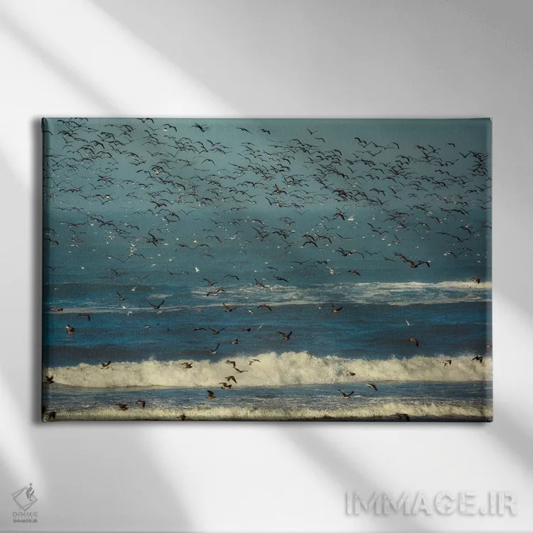 تابلو مرغان دریایی دو اثر دنیس فراتس - نمای روبهرو روی دیوار