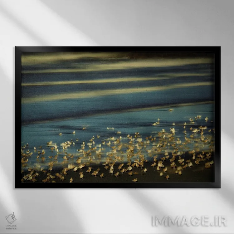 تابلو مرغان دریایی اثر دنیس فراتس - نمای قابدار مشکی