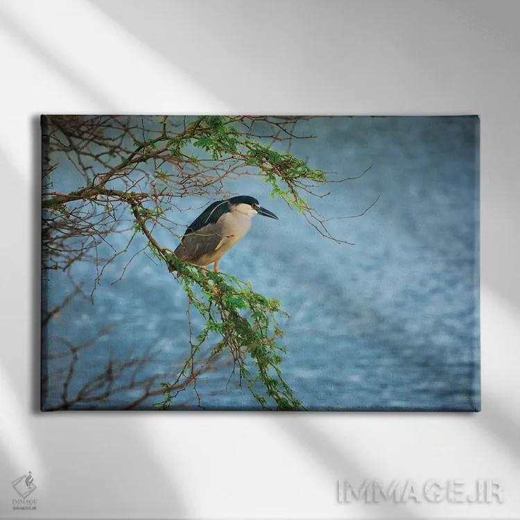 تابلو شکار ماهیخور اثر دنیس فراتس - نمای روبهرو روی دیوار