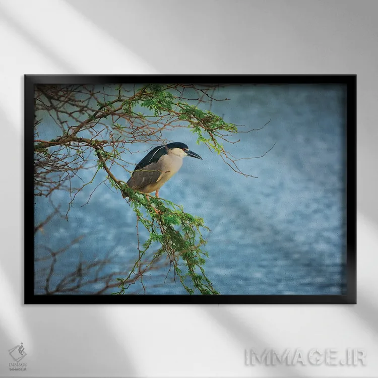 تابلو شکار ماهیخور اثر دنیس فراتس - نمای قابدار مشکی