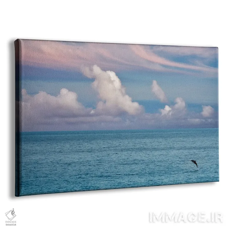 تابلو دلفین جهنده اثر دنیس فراتس - نمای پرسپکتیو محصول