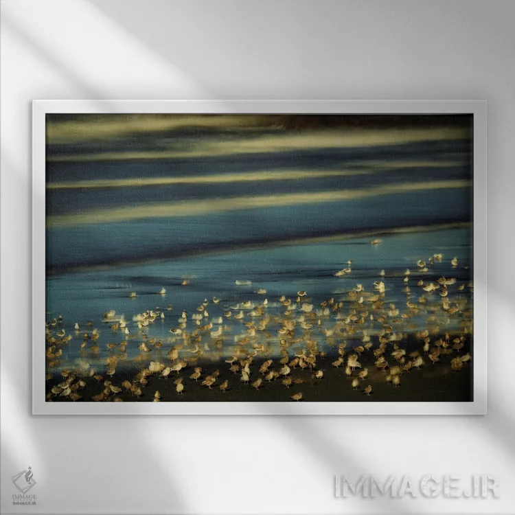 تابلو مرغان دریایی اثر دنیس فراتس - نمای قابدار سفید