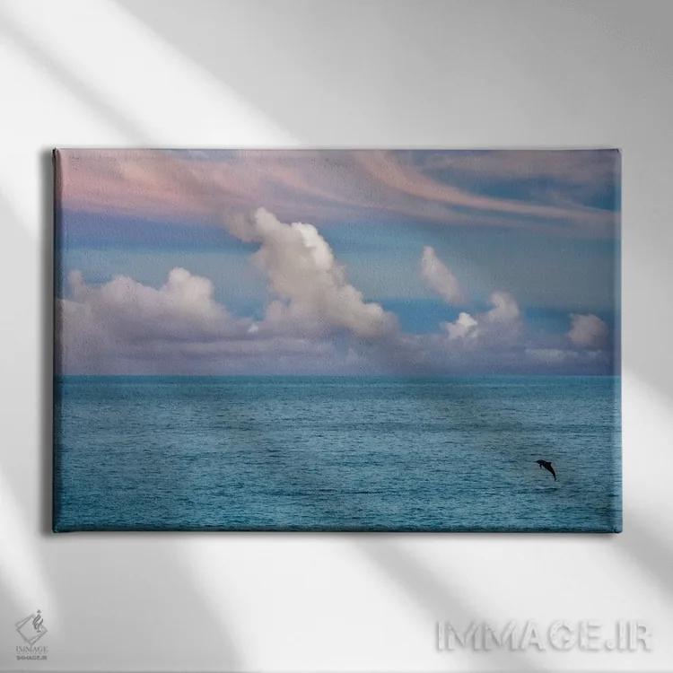 تابلو دلفین جهنده اثر دنیس فراتس - نمای روبهرو روی دیوار