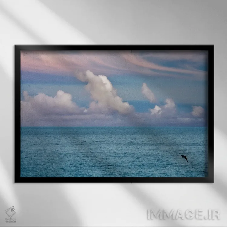 تابلو دلفین جهنده اثر دنیس فراتس - نمای قابدار مشکی