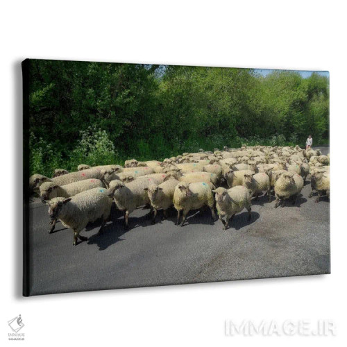 تابلو گوسفندان انگلیسی اثر دنیس فراتس - نمای پرسپکتیو محصول