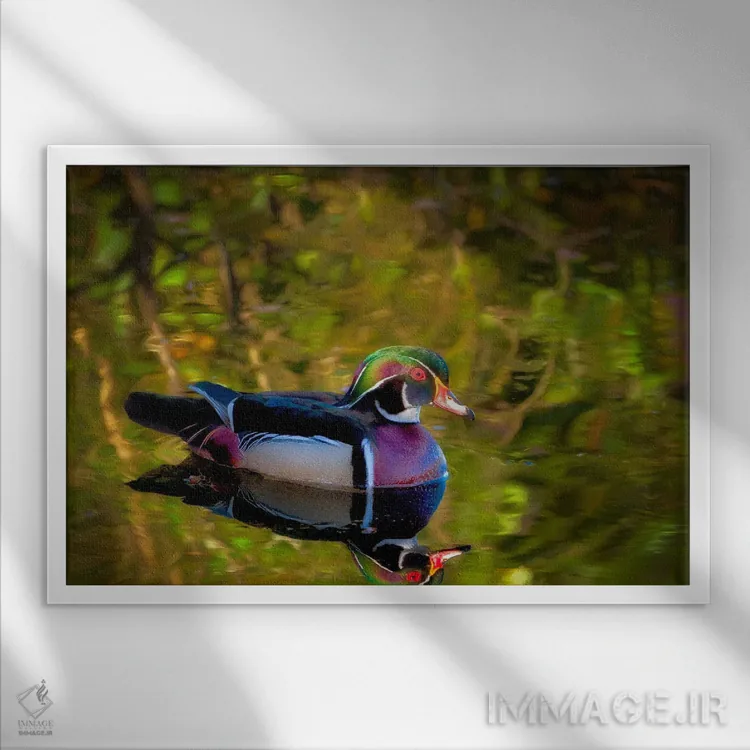 تابلو انعکاس اردک چوبی دو اثر دنیس فراتس - نمای قابدار سفید